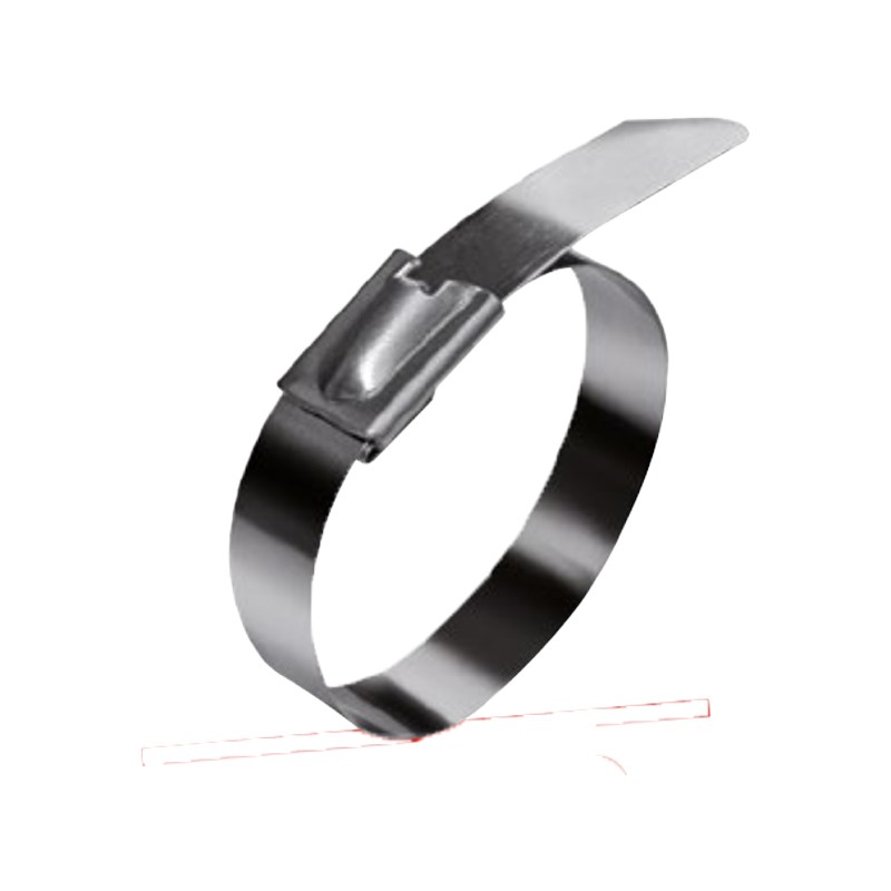 Sachet 25 liens inox W4 autobloquants - LSS 4,6x360