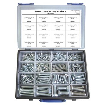 Mallette vis métriques TH 307pcs