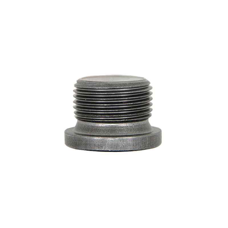 Sachet 10 bouchons M22x1.5x14.5 Fiat