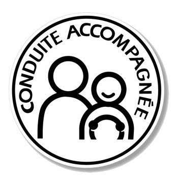 Disque conduite accompagnée électrostatique