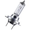 Lampe H7 12V 55W