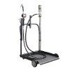 Équipement mobile 220L + pompe 3/1 + flexible 4m