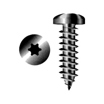 Blister 20 vis TORX TP 3.5x19