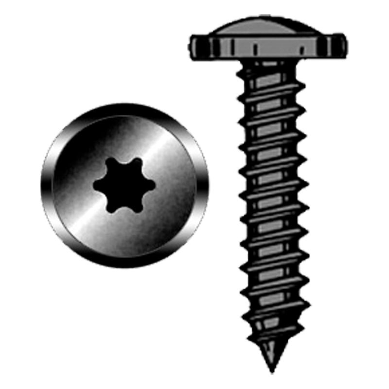 Blister 15 vis TORX 4.2x25