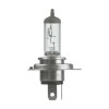 Original HS1 12V BLI1