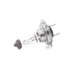 Original H7 12V BLI1