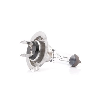 Original H7 12V