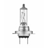 Original H7 24V