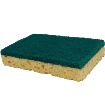 Pack 10 éponges avec coté grattoir vert