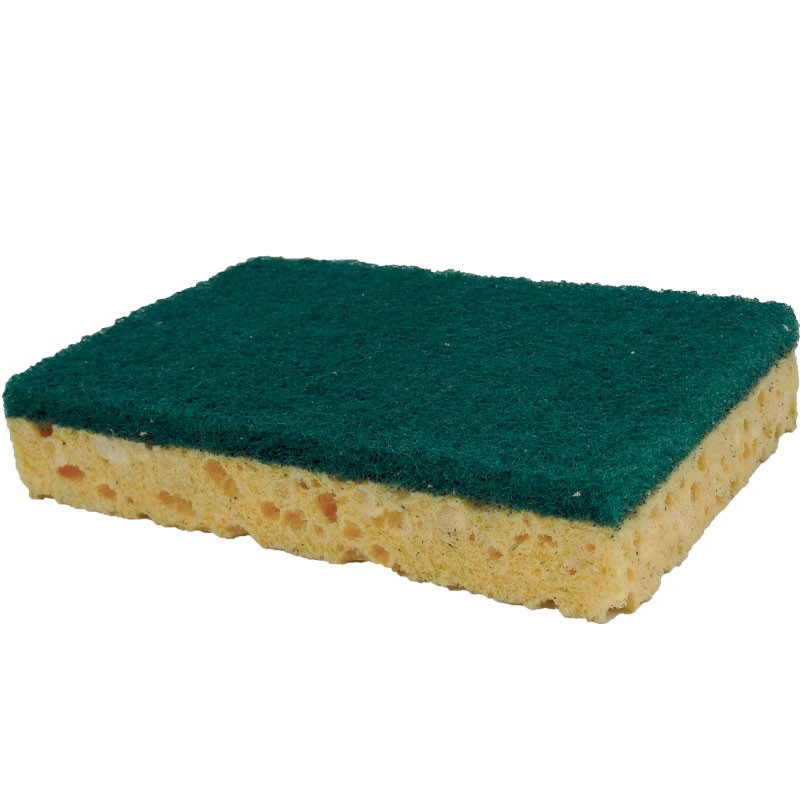 Pack 10 éponges avec coté grattoir vert