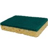 Pack 10 éponges avec coté grattoir vert