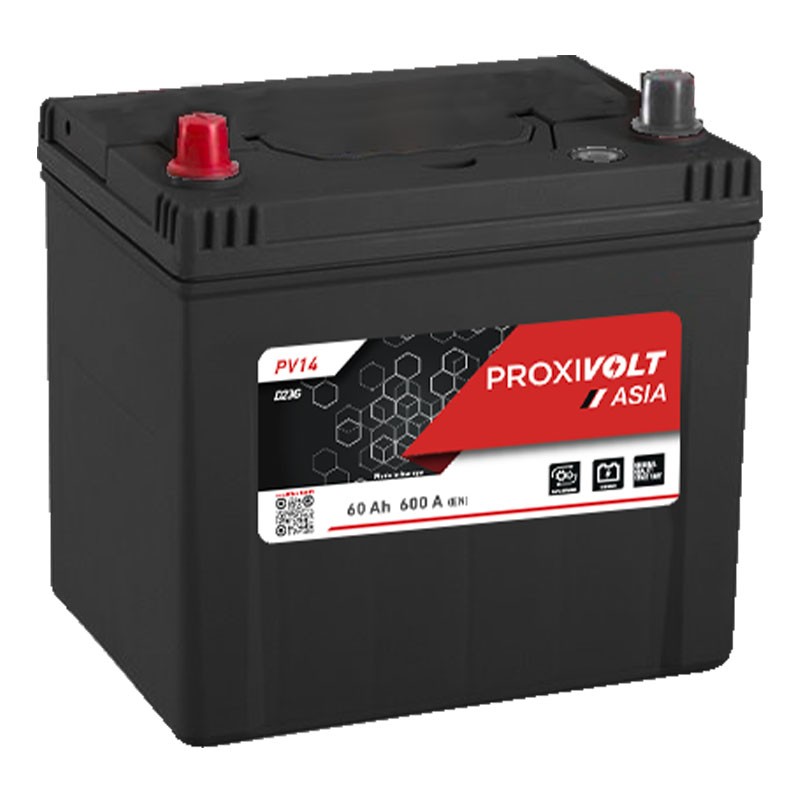 PROXIVOLT Batterie ASIA D23G 12V 60Ah/600A