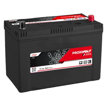 PROXIVOLT Batterie ASIA M11D 12V 95Ah/850A