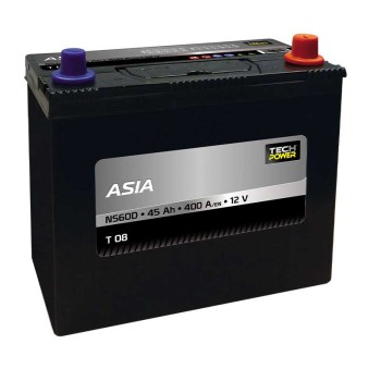 TECHPOWER Batterie ASIA NS60D 12V 45Ah/400A