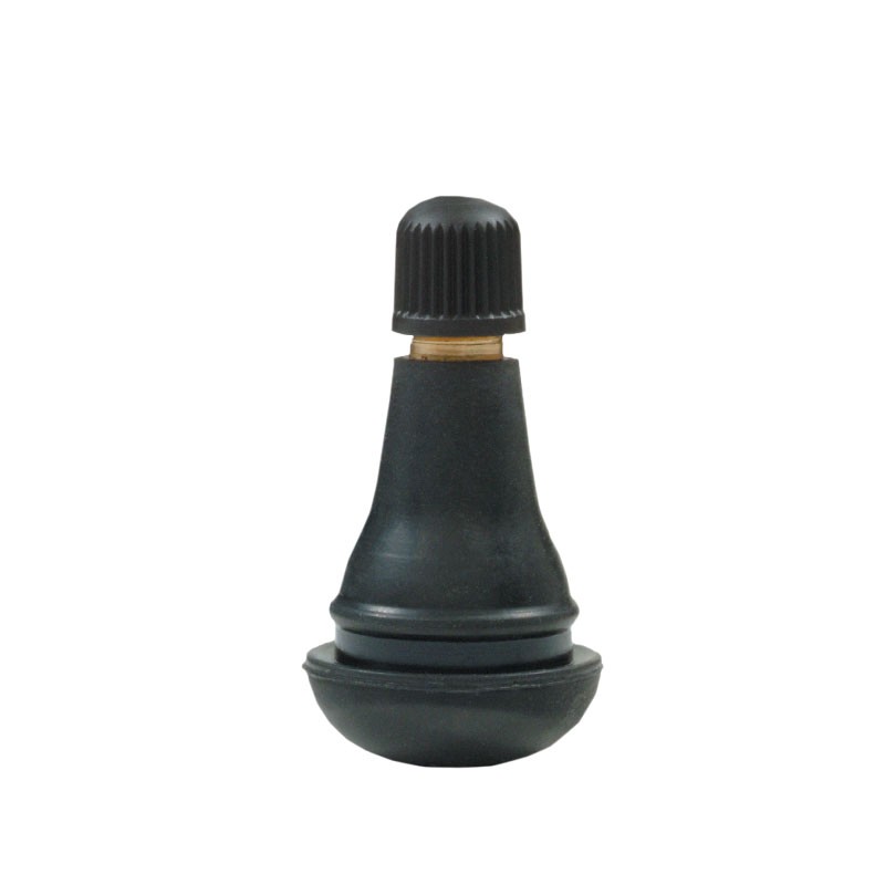 Valve TR415 type Michelin