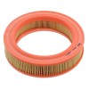 Filtre à air WA6387
