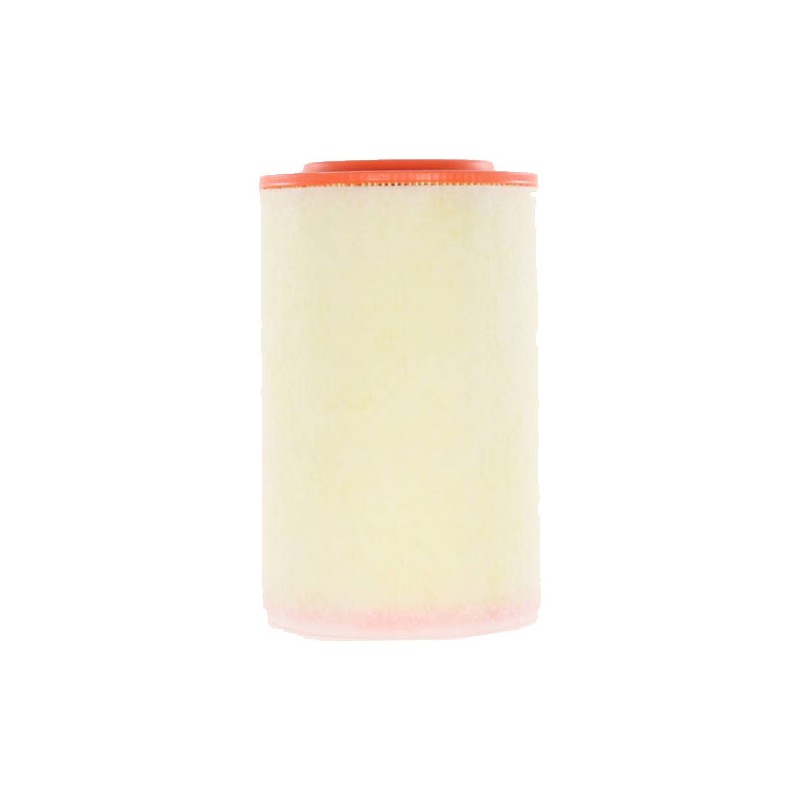 Filtre à air WA9687