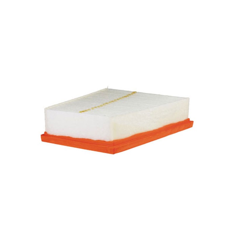 Filtre à air WA9694