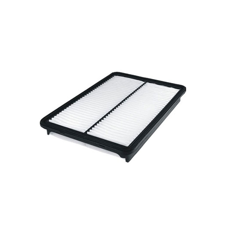 Filtre à air WA9789