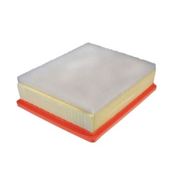 Filtre à air WA9798