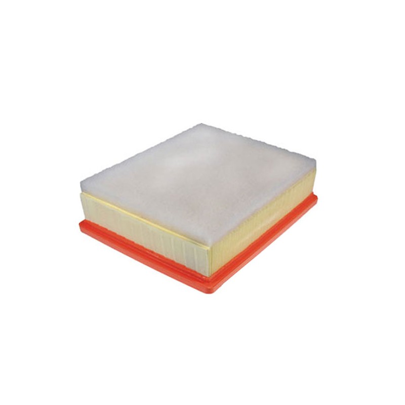 Filtre à air WA9798