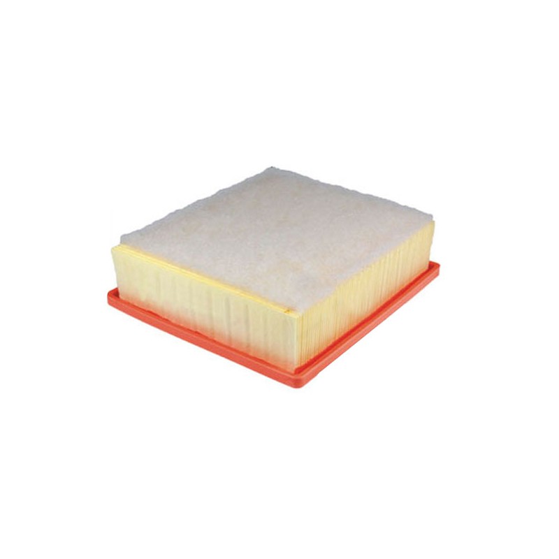 Filtre à air WA9804