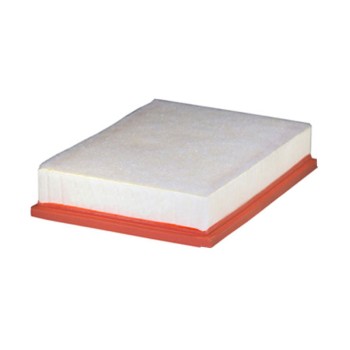 Filtre à air WA9818